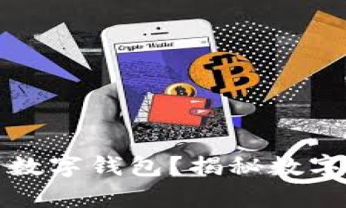 如何安全高效地使用数字钱包？揭秘数字钱包储存的基本过程