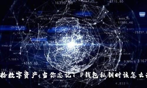重拾数字资产：当你忘记T P钱包私钥时该怎么办？