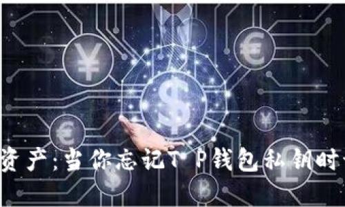 重拾数字资产：当你忘记T P钱包私钥时该怎么办？