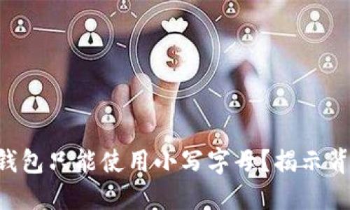 为什么TP钱包只能使用小写字母？揭示背后的秘密！