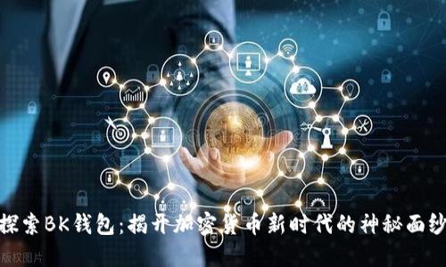 探索BK钱包：揭开加密货币新时代的神秘面纱