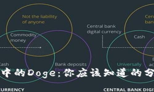 TP钱包中的Doge：你应该知道的分红真相