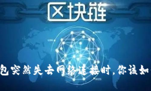当TP钱包突然失去网络连接时，你该如何应对？