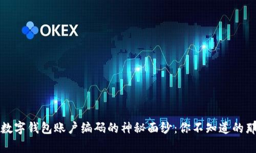 揭开数字钱包账户编码的神秘面纱：你不知道的那些事