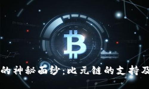 揭开TP钱包的神秘面纱：比元链的支持及其未来潜力