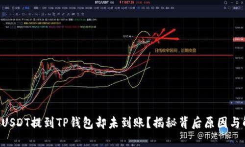 为何你的USDT提到TP钱包却未到账？揭秘背后原因与解决方案！