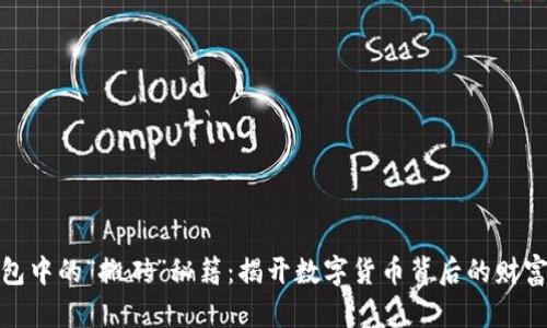 TP钱包中的“搬砖”秘籍：揭开数字货币背后的财富密码