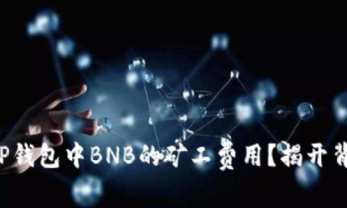 如何降低TP钱包中BNB的矿工费用？揭开背后的秘密！