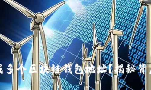 如何快速生成多个区块链钱包地址？揭秘背后的操作技巧