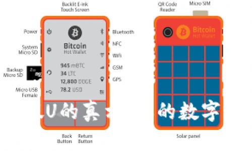 揭开TP钱包假U的真相：你的数字资产安全吗？