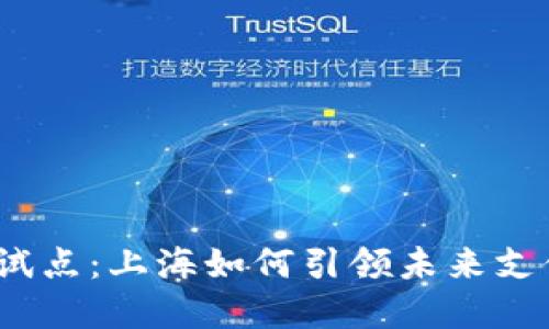 数字钱包试点：上海如何引领未来支付新方式？