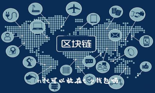 nft可以放在t p钱包吗