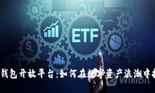  揭秘TP钱包开放平台：如何在数字资产浪潮中把握机遇