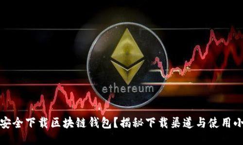如何安全下载区块链钱包？揭秘下载渠道与使用小技巧