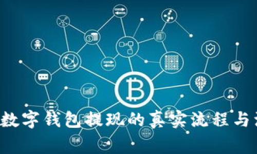 揭秘对公数字钱包提现的真实流程与注意事项！