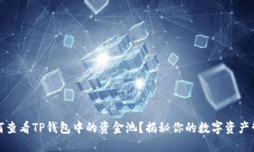 如何查看TP钱包中的资金池？揭秘你的数字资产管理