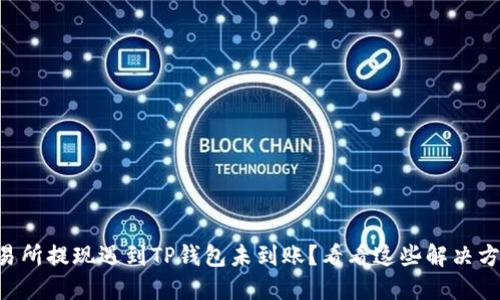 交易所提现遇到TP钱包未到账？看看这些解决方案！